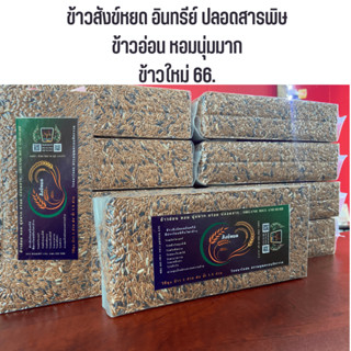 ข้าวสังข์หยด Organic อินทรีย์ ปลอดสาร ข้าวใหม่2023 ข้าวสังข์หยด อุทัยธานี อ่อนนุ่ม หอมอร่อย ( สวนอินมณี)