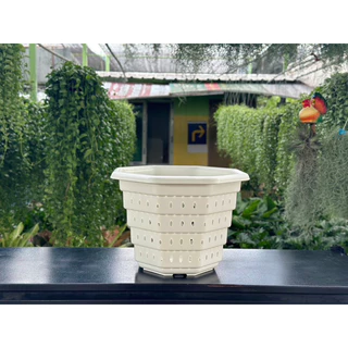‼️ถูก และหนา‼️ กระถางต้นไม้พลาสติก Air Pot ขนาด 10-15 นิ้ว เร่งราก