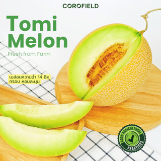 โทมิเมล่อน TOMI MELON สายพันธุ์จากฮอกไกโด ประเทศญี่ปุ่น - เนื้อเขียวกรอบ หวานฉ่ำ  | COROFIELD