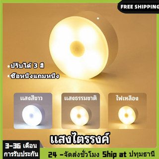 โคมไฟ โคมไฟหัวเตียง LED ปรับได้ 3 สี รุ่นใหม่ล่าสุด! MiniMall ชาร์จได้ ไม่ต้องใช้ถ่าน โคมไฟตั้งโต๊ะ โคมไฟเพดาน