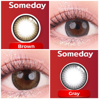 Someday Gray Brown คอนแทคเลนส์ สีเทา,สีน้ำตาล Lovelylens