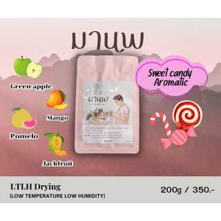 เมล็ดกาแฟคั่ว มานพ คั่วอ่อน (Dry process LTLH) 200g