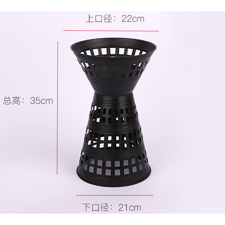 รูปภาพ 5