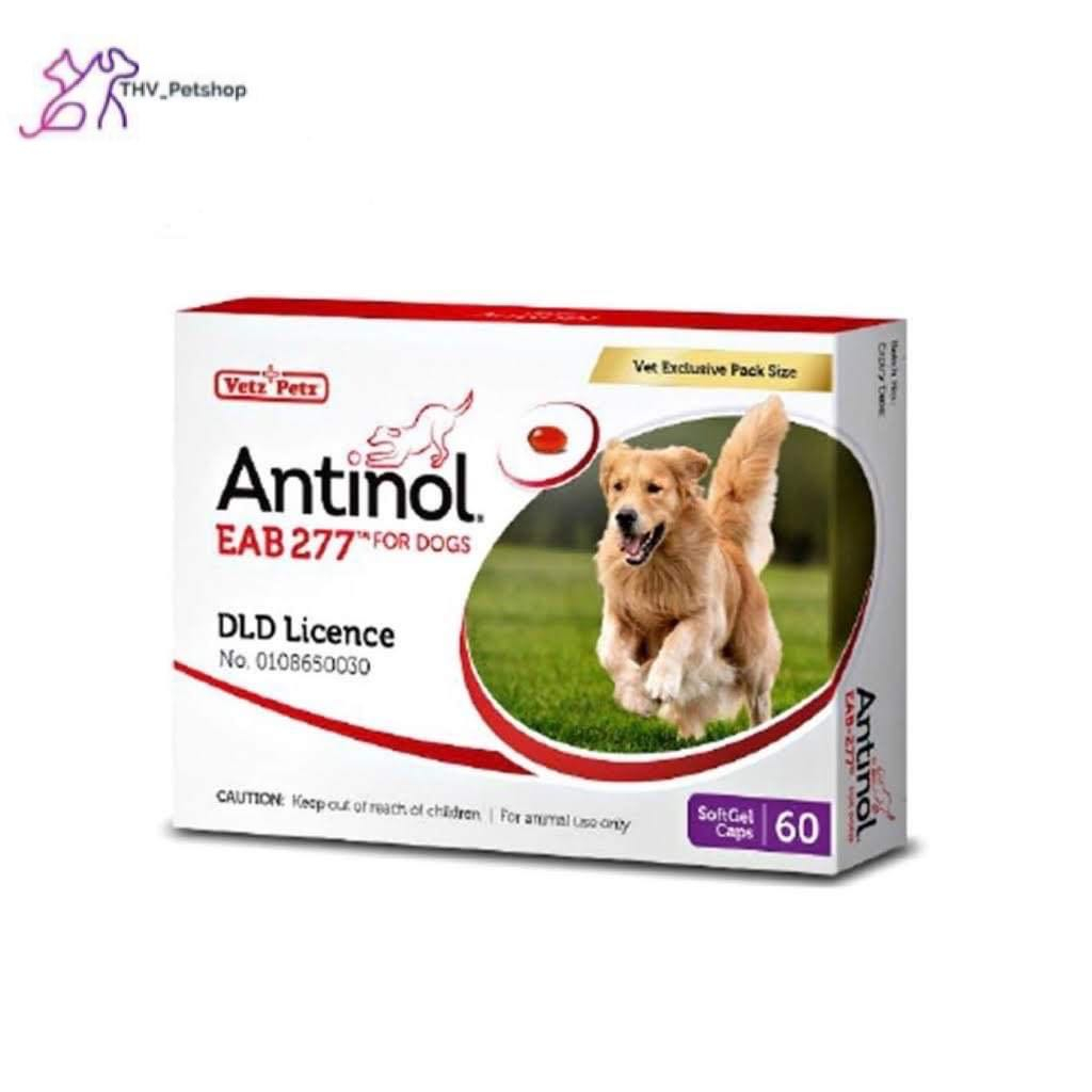 Antinol EAB 227 For  Dog 60 Cap