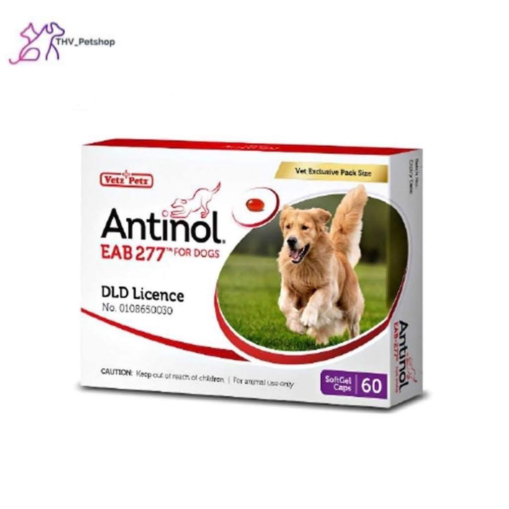 Antinol EAB 227 For  Dog 60 Cap exp.08/2027
