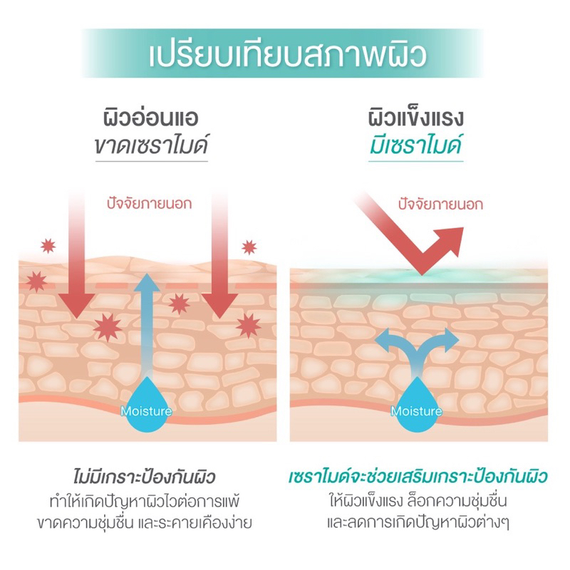 CUTE PRESS บอดี้ โลชั่น CI-LAB SENSITIV MOISTURE REPAIR BODY LOTION - 75 ml - รูปที่ 6