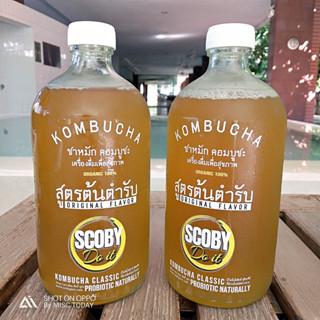 KOMBUCHA ORIGINAL 201- เครื่องดื่มเพื่อสุขภาพ ชาหมักคอมบูชะ Scoby Doit สูตรต้นตำรับ ออริจินัล ขวดแก้ว ขนาด 480 ml.