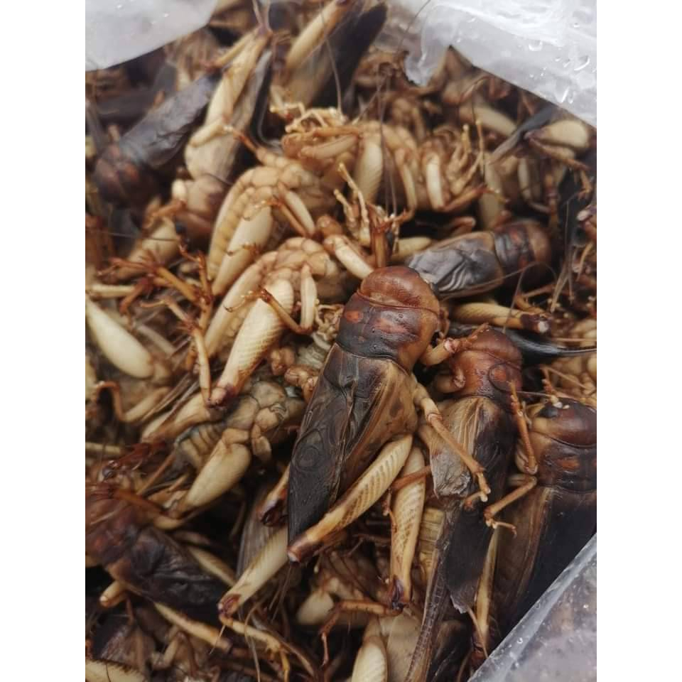 จิ้กุ่งธรรมชาติ จี้โป่ม สดๆๆใหม่ๆๆ ทอดพร้อมทาน ของมีพร้อมส่ง