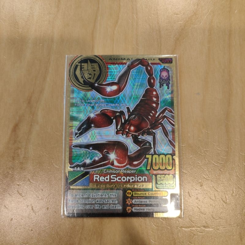 การ์ดทอง Animal.Kaiser