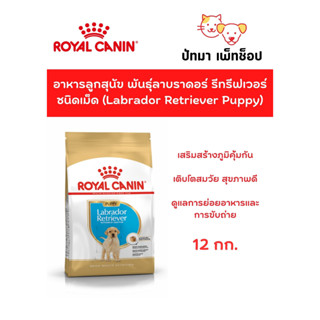 * รอสินค้า 5-7 วัน * Labrador Retriever Puppy 12 กก.