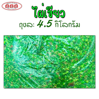 ไผ่เขียว สำหรับตกปลา ถุงใหญ่ 4.5 กิโลกรัม เหยื่อตกปลา ขนมปังคุณภาพ