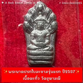 ✨พระนาคปรกใบมะขามรุ่นแรก ปี2537 เนื้อตะกั่ว วัดจุฬามณี