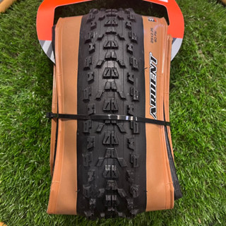 ยางนอกเสือภูเขา Maxxis Ardent 29x2.25 (TR)