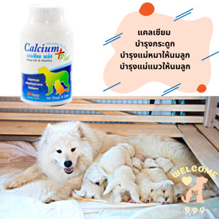 แคลเซียม สุนัข แมว หมา สัตว์เลี้ยง บำรุงกระดูก แม่หมา แม่แมว แม่สุนัข ให้นมลูก  Calcium Dog Cat นมแพะ รอยัลคานิน