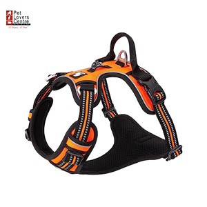 รัดอก TRUELOVE HARNESS EASY ORANGE ไซส์ XL