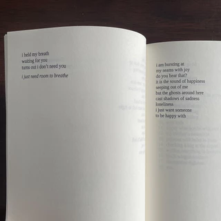 You'll Come Back to Yourself by Michaela Angemeer literature poetry prose english books (Paperback)