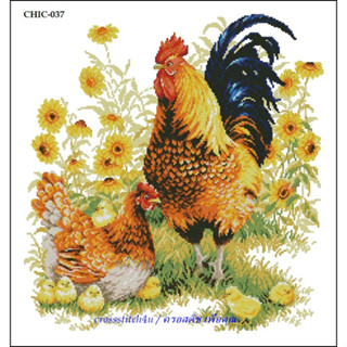 ครอสติช-ไม่พิมพ์ลาย-ภาพไก่-CHIC-037 (พร้อมส่ง)