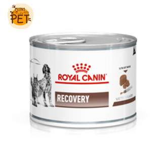 [ส่งไว] Royal Canin Recovery (195 gm.) อาหารสุนัขและแมว พักฟื้น รอยัลคานิน