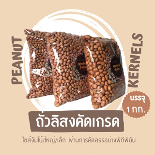 ถั่วลิสง คัดเกรด ล๊อตใหม่ 28 ก.ค. 66 เมล็ดจัมโบ้/ ใหญ่/ เล็ก บรรจุ 1 กก.