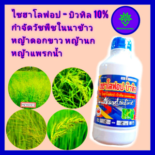 ไซฮาโลฟอป 10% ฆ่าหญ้า ยาฆ่าหญ้าในนาข้าวไซฮาโลฟอป 1 ลิตร ใช้กำจัดวัชพืชในนาข้าว เช่น หญ้าแพรก  หญ้าดอกขาว หญ้าข้าวนก