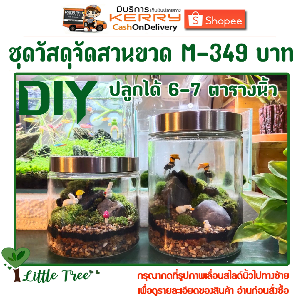 ชุดวัสดุจัดสวนขวด Terrarium ขนาดกลาง-ใหญ่ ไซต์ M-349 บาท จัดได้ 7 ตารางนิ้ว - รูปที่ 6