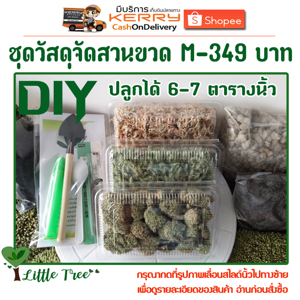ชุดวัสดุจัดสวนขวด Terrarium ขนาดกลาง-ใหญ่ ไซต์ M-349 บาท จัดได้ 7 ตารางนิ้ว - รูปที่ 3