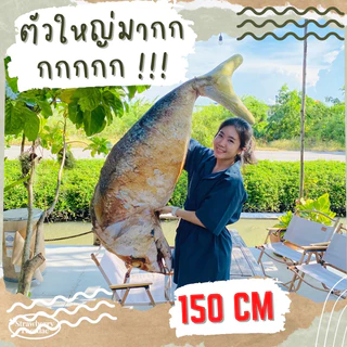 ตุ๊กตาปลาทูทอด ไซส์ยักษ์ 150cm สกรีนสีสวย ตัวใหญ่