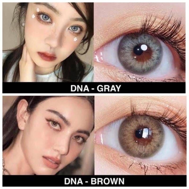 คอนแทคเลนส์ วิ้งค์ DNA Brown/Gray ( Dia:14.2 ) มีค่าสายตาและปกติ