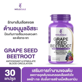 Molecule Grape Seed Beetroot 1 ปุก โมเลกุล เกรปซี้ด บีทรูท ไขมันพอกตับ ความดันโลหิตสูง เส้นเลือดขอด บำรุงสายตา