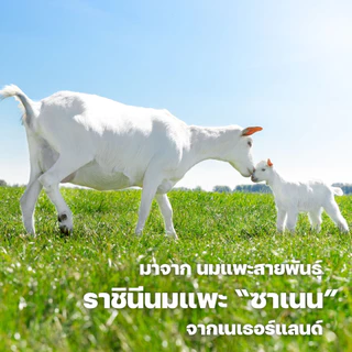 นมแพะ Smart Goat 6 กล่อง สัตว์เลี้ยงบำรุงดี - สูตรสารอาหารสูง ท้องไม่ผูก ขับถ่ายดี