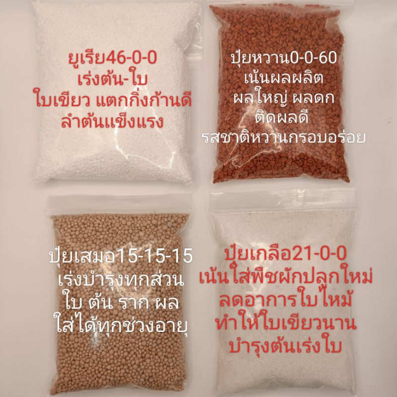 (500กรัม) ปุ๋ยบำรุงผัก ปุ๋ยบำรุงต้นไม้ ปุ๋ย15-15-15 ปุ๋ยยูเรีย46-0-0 ปุ๋ยหวาน0-0-60 ปุ๋ยเกลือ21-0-0 