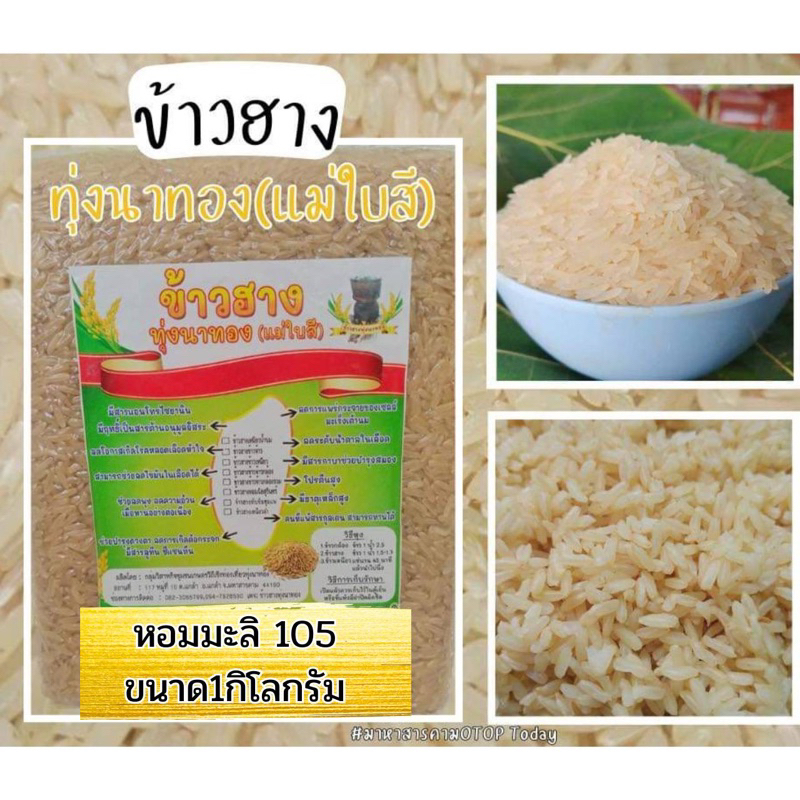 ข้าวฮางหอมมะลิแท้ 100% (ข้าวใหม่)ข้าวฮางเพื่อสุขภาพ สะอาด หอม นุ่ม กลุ่มวิสาหกิจชุมชนบ้านทุ่งนาทอง
