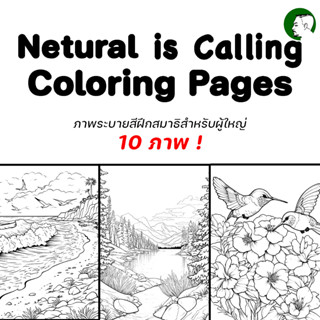 ภาพระบายสีฝึกสมาธิ สำหรับผู้ใหญ่ ชุด Natural is Calling Coloring Pages V.1