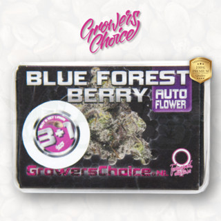 Blue Forest Berry (Auto) - Growers Choice เมล็ด กัญชา นำเข้าแท้100% เมล็ดเพศเมีย