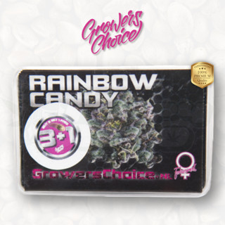 Rainbow Candy (Photo) - Growers Choice เมล็ดกัญชา นำเข้าแท้100% เมล็ดเพศเมีย