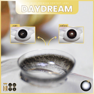💋 มีค่าสายตา 💋✨ Daydream We Wink black Gray Brown คอนแทคเลนส์ค่าอมน้ำสูง 60%✨ขนาดเล็ก 💋รายเดือน มีอย แถมตลับฟรี💋 กรองแสง รายเดือน มีอย.