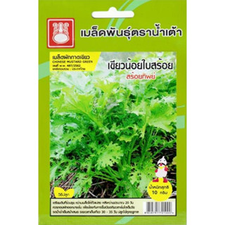 เมล็ดพันธุ์ ผักกาดเขียวน้อยใบสร้อย สร้อยทิพย์ ตราน้ำเต้า