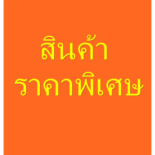 สินค้าราคาพิเศษ / สินค้าสั่งทำ / มัดจำสินค้าสั่งพิเศษ