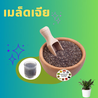 เมล็ดเจีย เมล็ดเชีย ออแกนิค 500 กรัม 1 กิโล