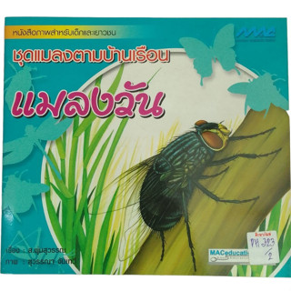 หนังสือภาพสำหรับเด็กแล้วเยาวชน ชุดแมลงตามบ้านเรือน แมลงวัน