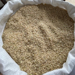 ข้าวกล้อง กข 43 แพ็คสุญญากาศ 1 กก. | หอม นุ่ม น้ำตาลต่ำ