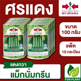 ขายส่ง เมล็ดพันธุ์ ศรแดง BIG แตงกวา แม็กนั่มกรีน  ขนาด 100 กรัม (100 กรัม X 10 กระป๋อง)