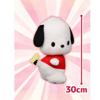 ตุ๊กตา Pochacco - Friend Costume