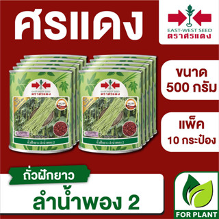 ขายส่ง เมล็ดพันธุ์ ศรแดง BIG ถั่วฝักยาว ลำน้ำพอง2 ขนาด 500 กรัม (500 กรัม X 10 กระป๋อง)