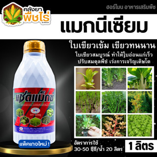 🌽 แซดแม็กซ์ (แมกนีเซียม8%) 1ลิตร ใบเขียวเข้ม เขียวทนนาน