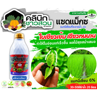 🥬 แซดแม็กซ์ (แมกนีเซียม8%) บรรจุ 1ลิตร ใบเขียวเข้ม เขียวทนนาน