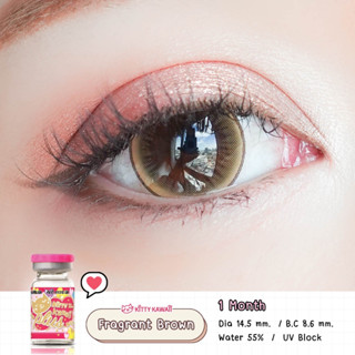 [ ใหม่!! ] คอนแทคเลนส์ คิตตี้ คาวาอิ Fragrant Brown ค่าสายตา