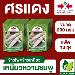 ขายส่ง เมล็ดพันธุ์ ศรแดง BIG ข้าวโพดข้าวเหนียว เหนียวหวานชมพู ขนาด 200 กรัม (200 กรัม X 10 ถุง)