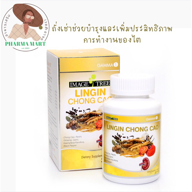 ImageTreeถั่งเช่าช่วยบำรุงและเพิ่มประสิทธิภาพการทำงานของไต