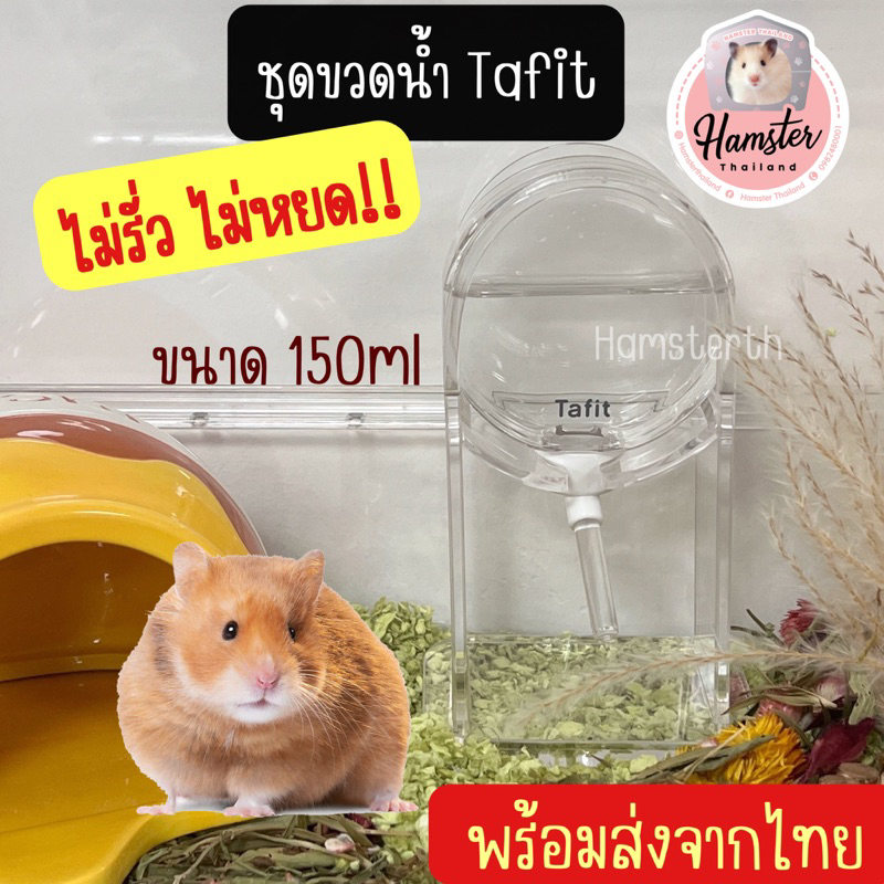 [Hamsterth] ชุดที่ตั้งขวดน้ำ Tafit รุ่นใหม่ พร้อมส่ง ขวดน้ำแฮมสเตอร์ ขวดน้ำสัตว์เลี้ยง หลอดน้ำ